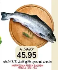 سلمون نرويجي طازج كامل (2/3) كيلو