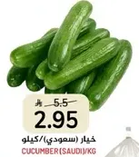 خيار (سعودي)/كيلو.