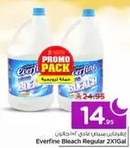 Everfine Bleach Regular 2X1Gal
