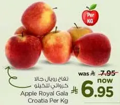 تفاح رويال جالا كرواتي للكيلو
