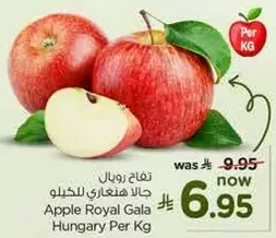 تفاح رويال جالا هنغاري للكغ