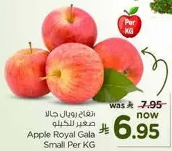 تفاح رويال جالا صغير للكليو