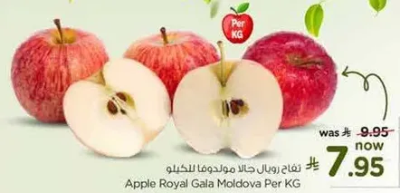 تفاح رويال جالا مولدوفا بالكيلو