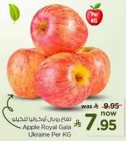 تفاح رويال جالا اوكرانيا للكغ