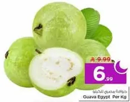 جوافه مصري خضراء