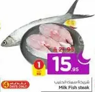 Milk Fish steak
