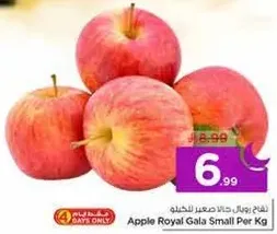 Apple Royal Gala Small Per Kg