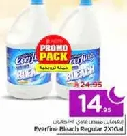 Everfine Bleach Regular 2X1Gal