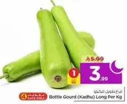 قرع زجاجي (كادهو) طويل لكل كيلو