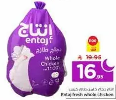 دجاج انتج طازج كامل