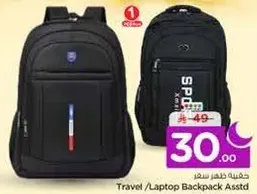 Travel/Laptop Backpack Assorted