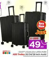 ABS Trolley 20/24/28 inch Assorted