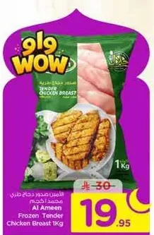 صدر دجاج طازج مجمد من الامين 1 كجم