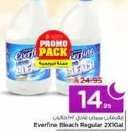 Everfine Bleach Regular 2X1Gal