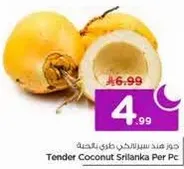 Tender Coconut Sri Lanka Per Pc