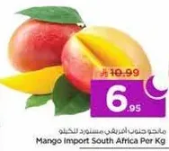 مانجو جيني افريقي مستورد للكيلو