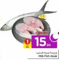 Milk Fish steak