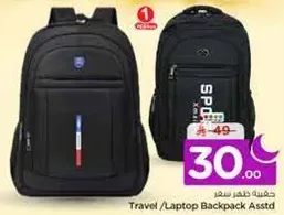 Travel/Laptop Backpack Assorted