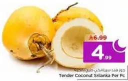 Tender Coconut Sri Lanka Per Pc