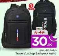 Travel/Laptop Backpack Assorted
