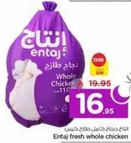 دجاج كامل طازج انتاج