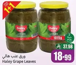 Haley Grape Leaves