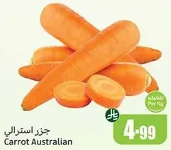 Australian Carrot