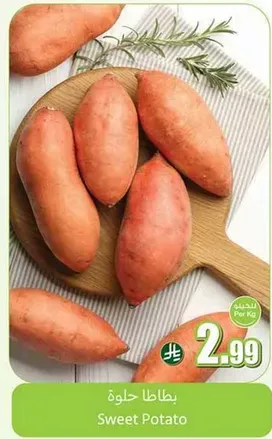 Sweet Potato