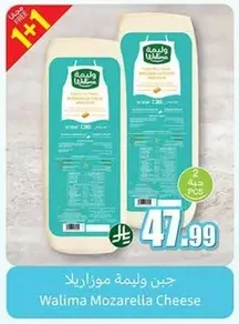 Walima Mozzarella Cheese