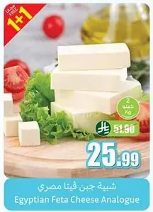 Egyptian Feta Cheese Analogue