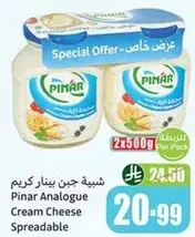 Pinar Analogue Cream Cheese Spreadable