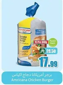 Americana Chicken Burger