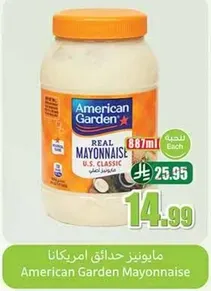 مايونيز حادايق امريكانا