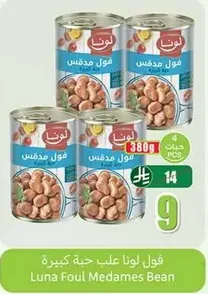 Luna Foul Medames Bean