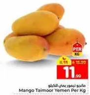 مانجو تيمور يمني لكل كيلو