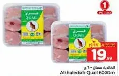 Alkhalediah Quail 600Gm