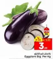 باذنجان كبير للكغ