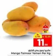 مانجو تيمور يمني للكغ