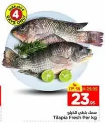 سمك بلطي طازج لكل كيلو.