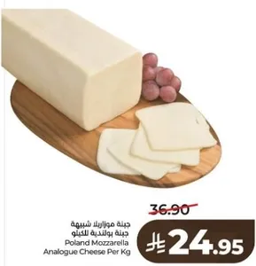 Poland Mozzarella Analogue Cheese Per Kg