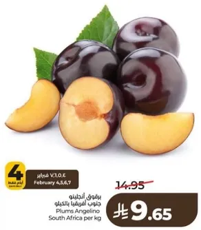 برقوق الانجليو من جنوب افريقيا لكل كيلو