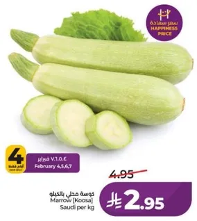 كوسه مجل بالكينو