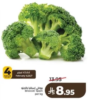 بروكلي اسبانيا بالكيلو