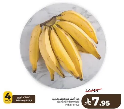 موز اصفر كبير الهند بالكيلو