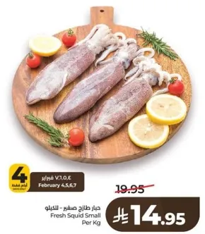 الكالاماري الطازج الصغير