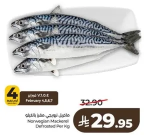 Norwegian Mackerel Defrosted Per Kg