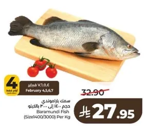 Baramundi Fish (Size 400/3000) Per Kg