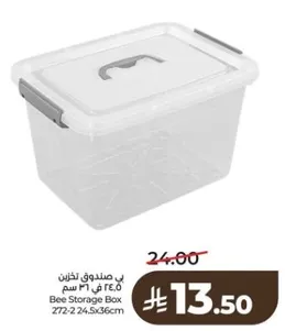 Bee Storage Box 272-2 24.5x36cm