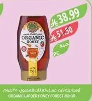 Organic larder honey forest 350 gr