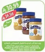 زبده الفول السوداني والشوكولاته، 434 جرام.